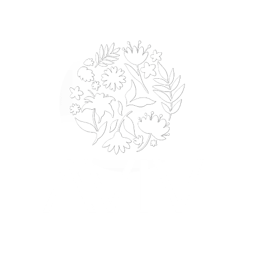Aviv