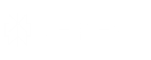 Perplexity